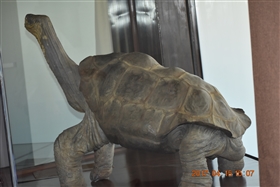 �K���p�S�X�����@�o���g�����@�`�@�T���^�@�N���X��