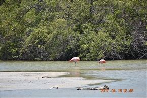 �K���p�S�X�����@�o���g�����@�`�@�T���^�@�N���X��