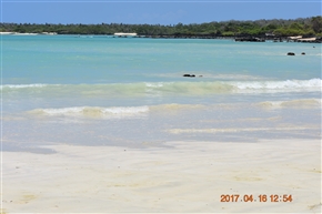 �K���p�S�X�����@�o���g�����@�`�@�T���^�@�N���X��