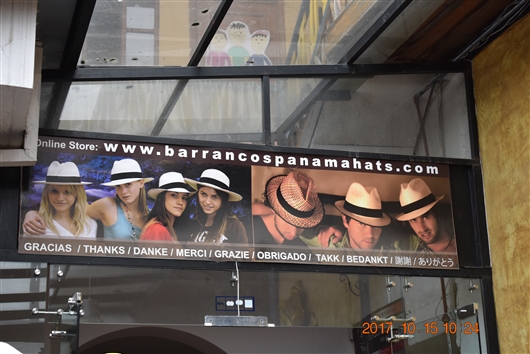 �G�N�A�h���@�N�G���J�@(Cuenca) ���E��Y�̕����s�s