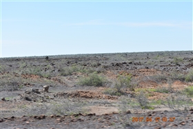 �K���p�S�X�����@�o���g�����@�`�@�T���^�@�N���X��