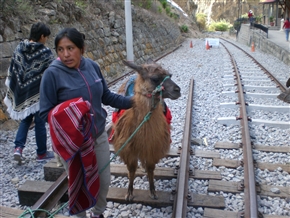 エクアドル アンデス 列車の旅 山岳鉄道 悪魔の鼻
