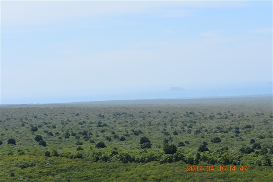 ガラパゴス諸島 バルトラ島 〜 サンタ クルス島